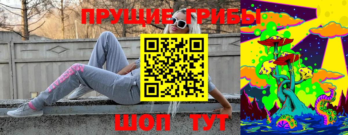 Псилоцибиновые грибы Psilocybe  Вход с VPN  Георгиевск  Псилоцибиновые грибы прущие грибы 